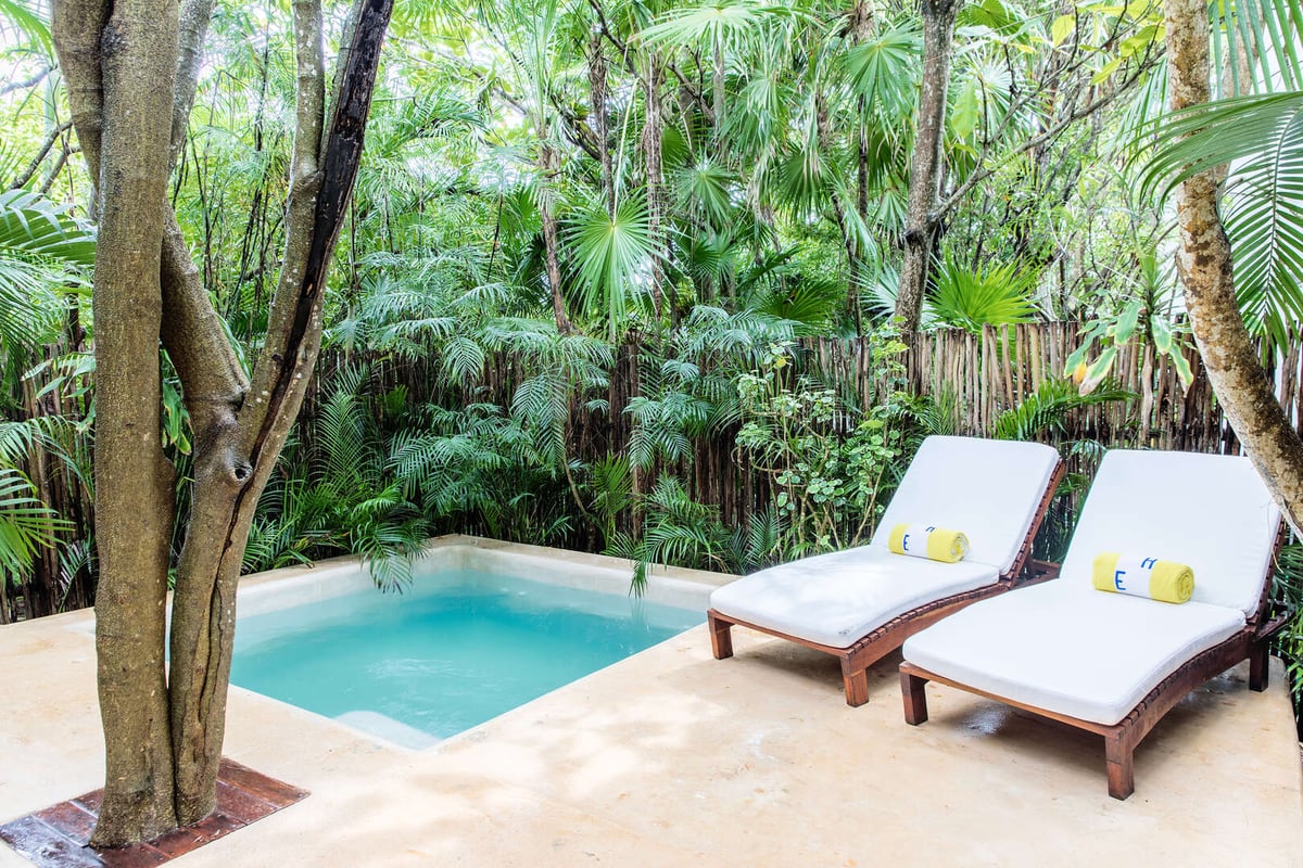 Jungle Suite with Plunge Pool apartment rental - 2