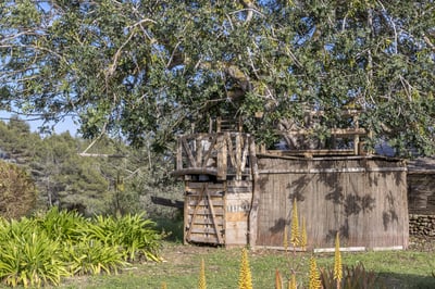 Luxury Villa Photo #8