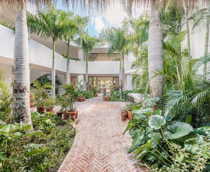 Arrecife SB4 | Saman