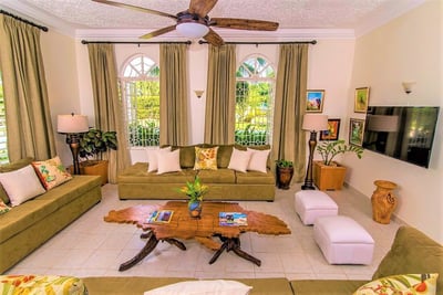 Luxury Villa Photo #18