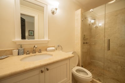 Luxury Villa Photo #46
