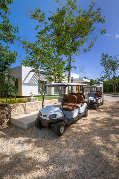 Luxury Villa Photo #43