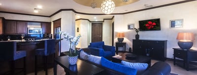 Luxury Villa Photo #3