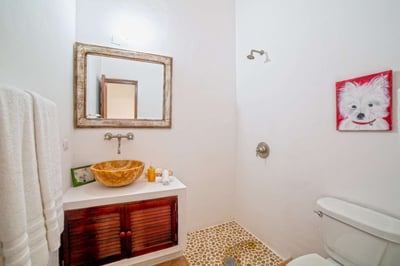 Luxury Villa Photo #41
