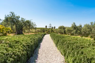 Luxury Villa Photo #15