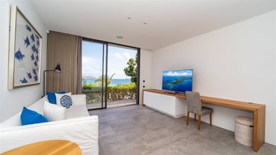 Luxury Villa Photo #32