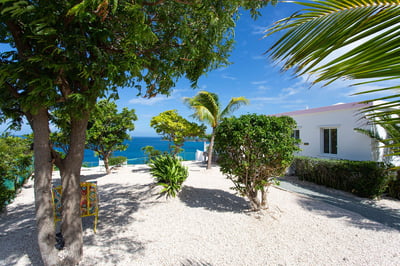 Luxury Villa Photo #7
