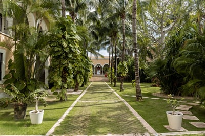 Luxury Villa Photo #6