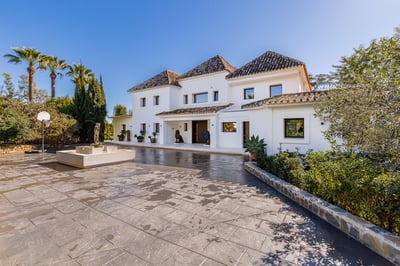 Luxury Villa Photo #38