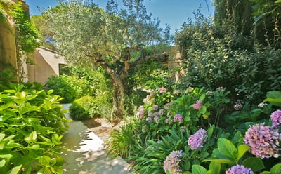 Luxury Villa Photo #15