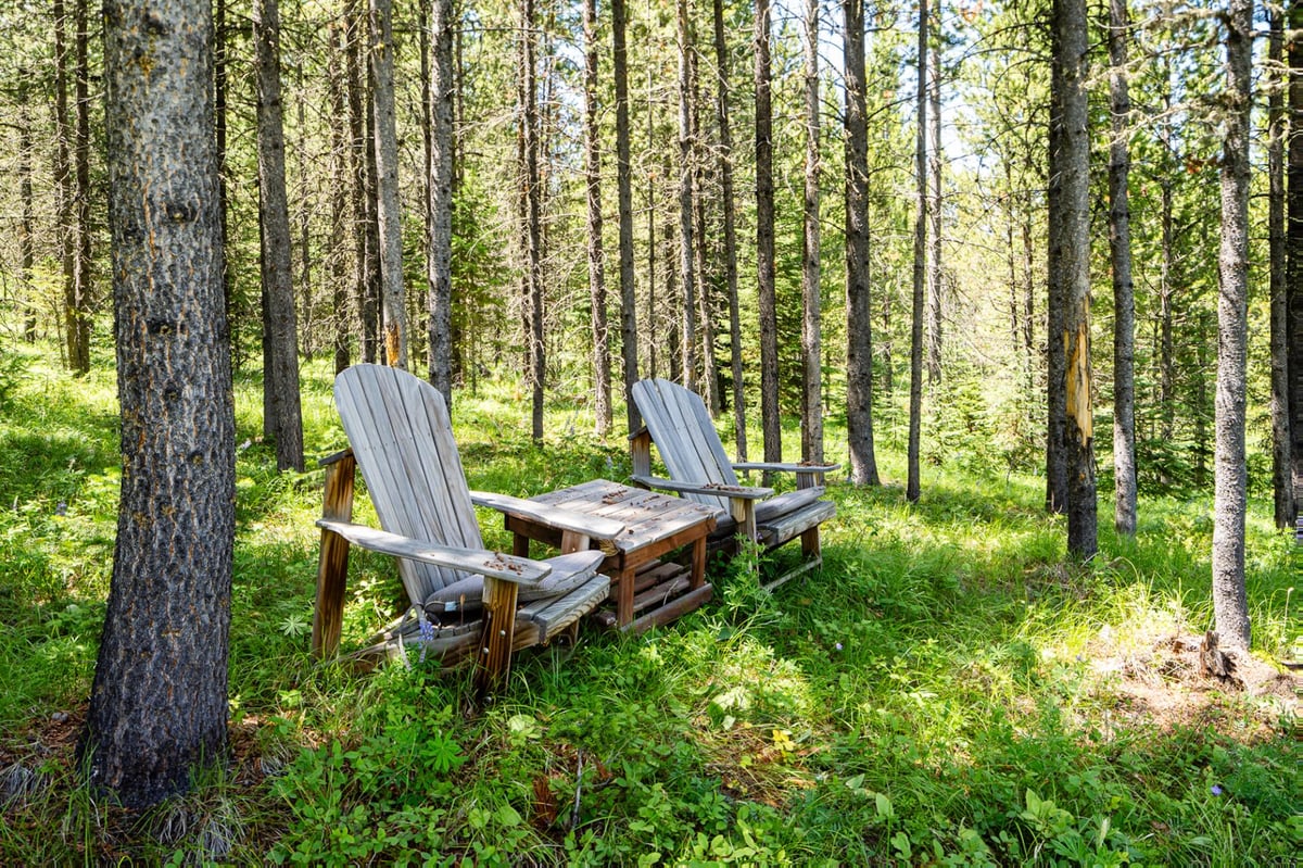 Gray Owl Retreat