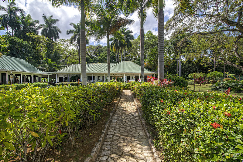 Tranquility on the Beach
