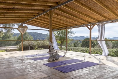 Luxury Villa Photo #7
