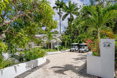 Luxury Villa Photo #11