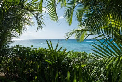 Luxury Villa Photo #10