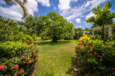 Luxury Villa Photo #5