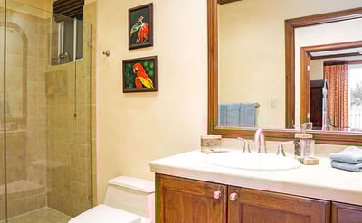 Luxury Villa Photo #12