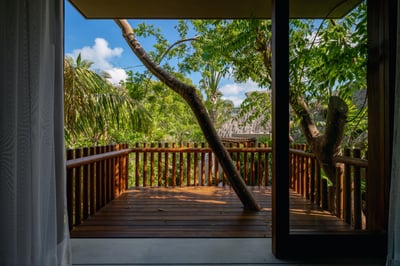Luxury Villa Photo #65