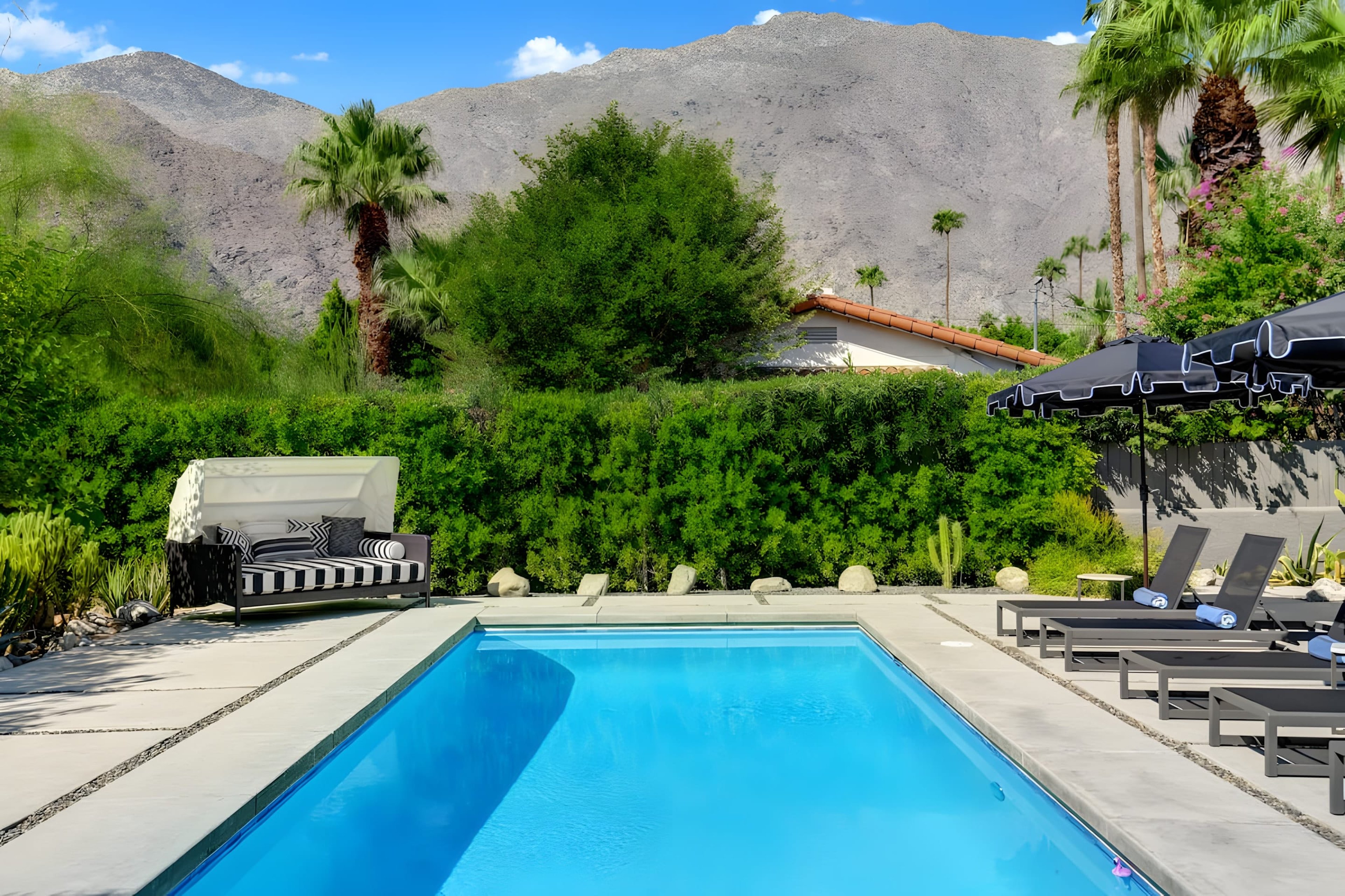 Cactus Bloom House - 3