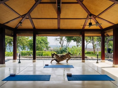 Luxury Villa Photo #11