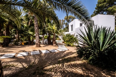 Luxury Villa Photo #40