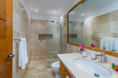 Luxury Villa Photo #61