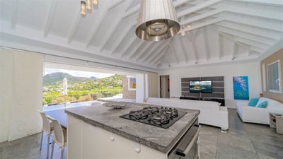 Luxury Villa Photo #31