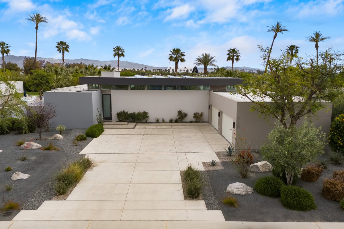 Green and Palm Oasis