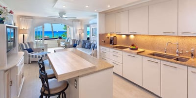 Luxury Villa Photo #3