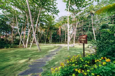 Luxury Villa Photo #9