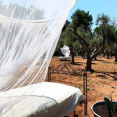 Luxury Villa Photo #19