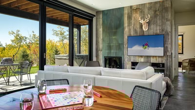 Lower Living Room