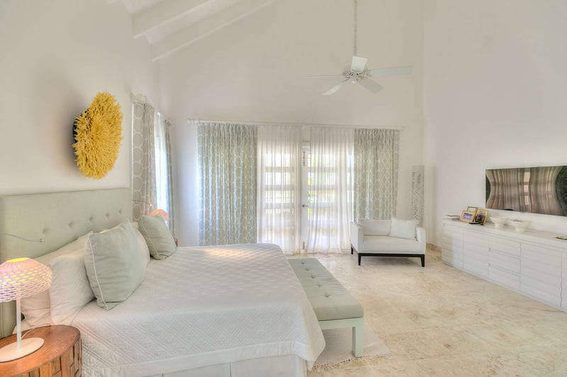 Arrecife EFG4 | Yellow Bear