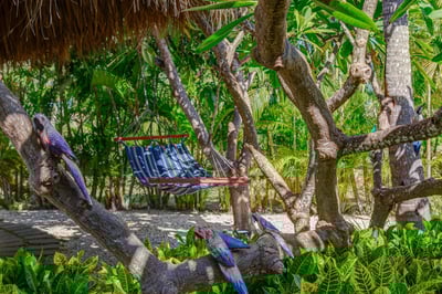 Luxury Villa Photo #5