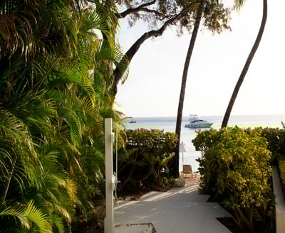 Luxury Villa Photo #4