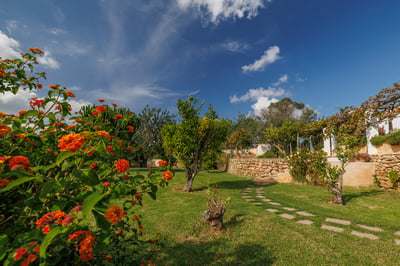 Luxury Villa Photo #14