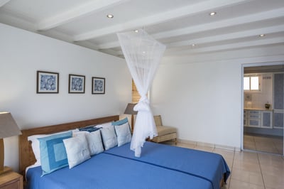 Luxury Villa Photo #23