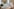 #1015 | 2 BDM Ocean View apartment rental in Eco-Hotel South Beach - 14