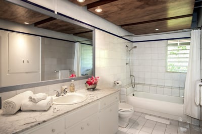 Luxury Villa Photo #40
