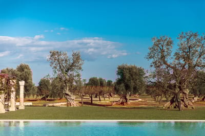 Luxury Villa Photo #5