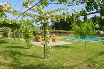Luxury Villa Photo #6