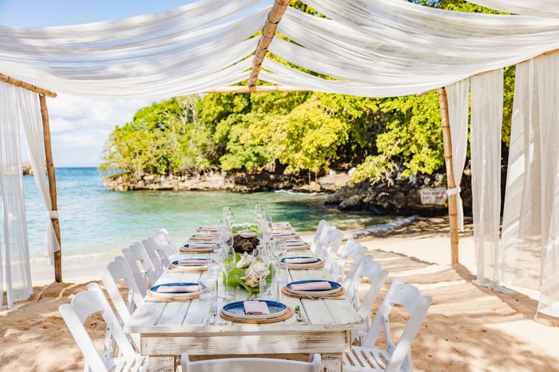 ANI Dominican Republic