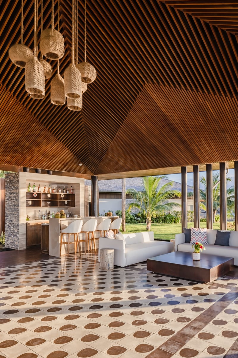 ANI Dominican Republic