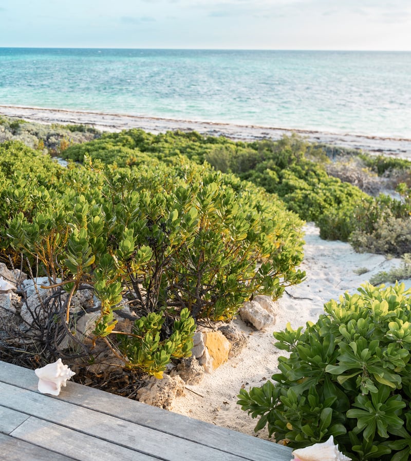 Four Bedroom Beachfront Villa