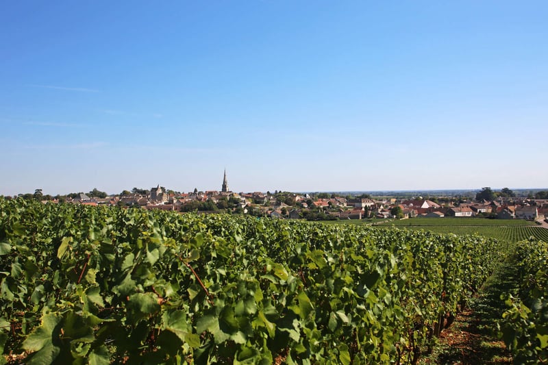 Montrachet