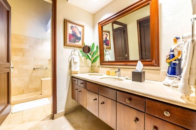Luxury Villa Photo #25