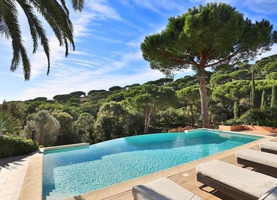 Luxury Villa Photo #3