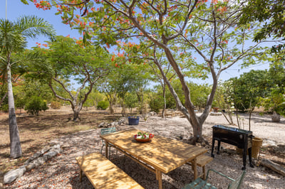 Luxury Villa Photo #60