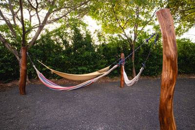 Need a nap? Our hammocks are the perfect spot!