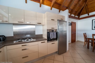 Luxury Villa Photo #6